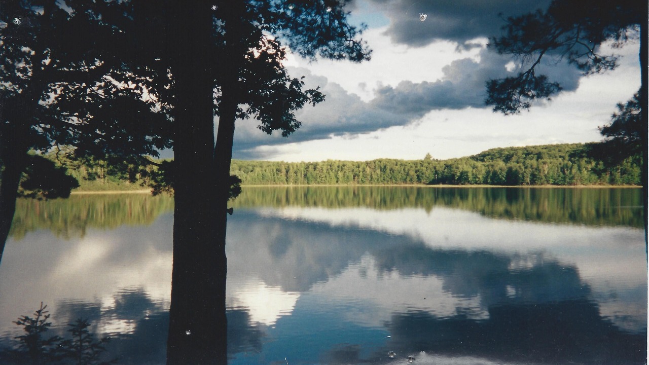 Photo of Others in Arbor Vitae