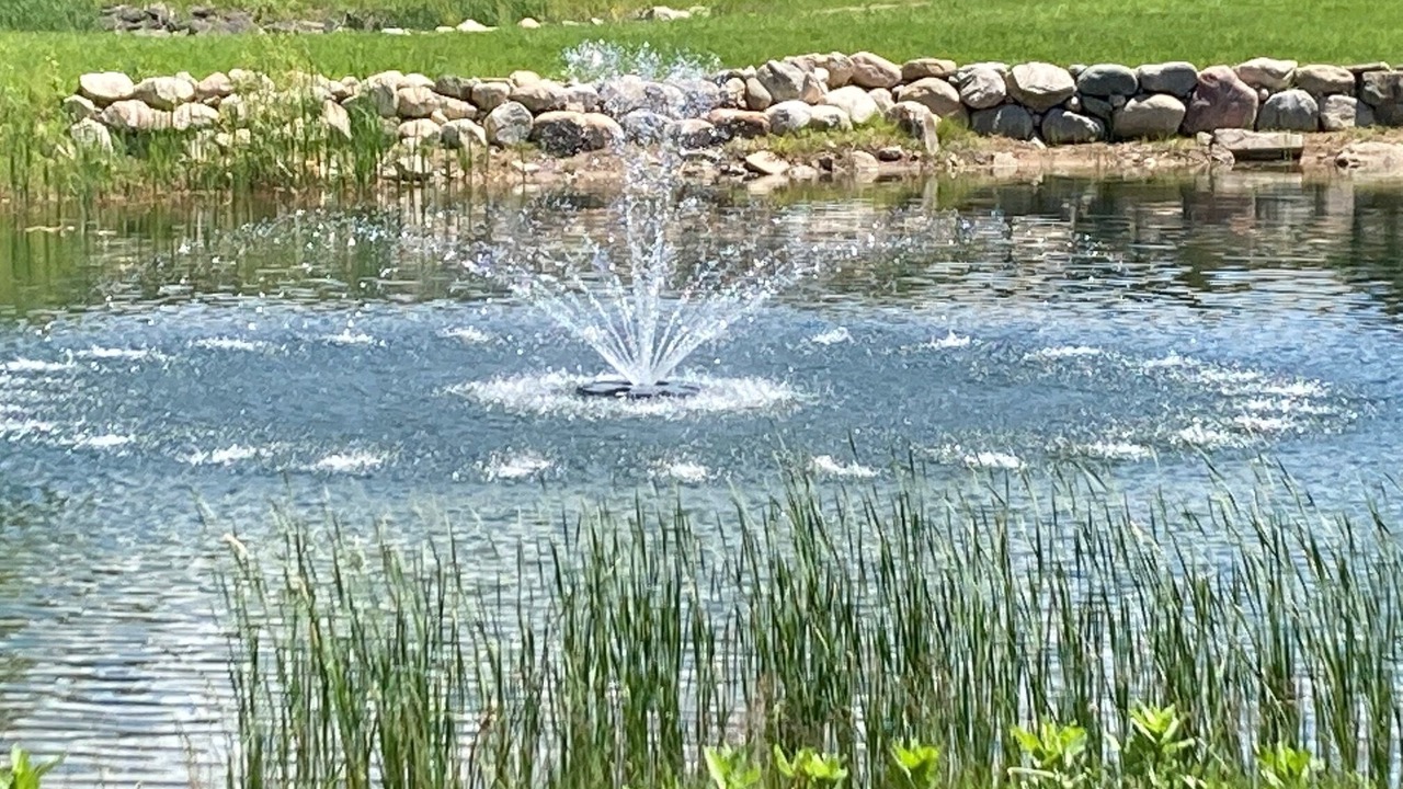 Photo of Outdoor in Williamsburg