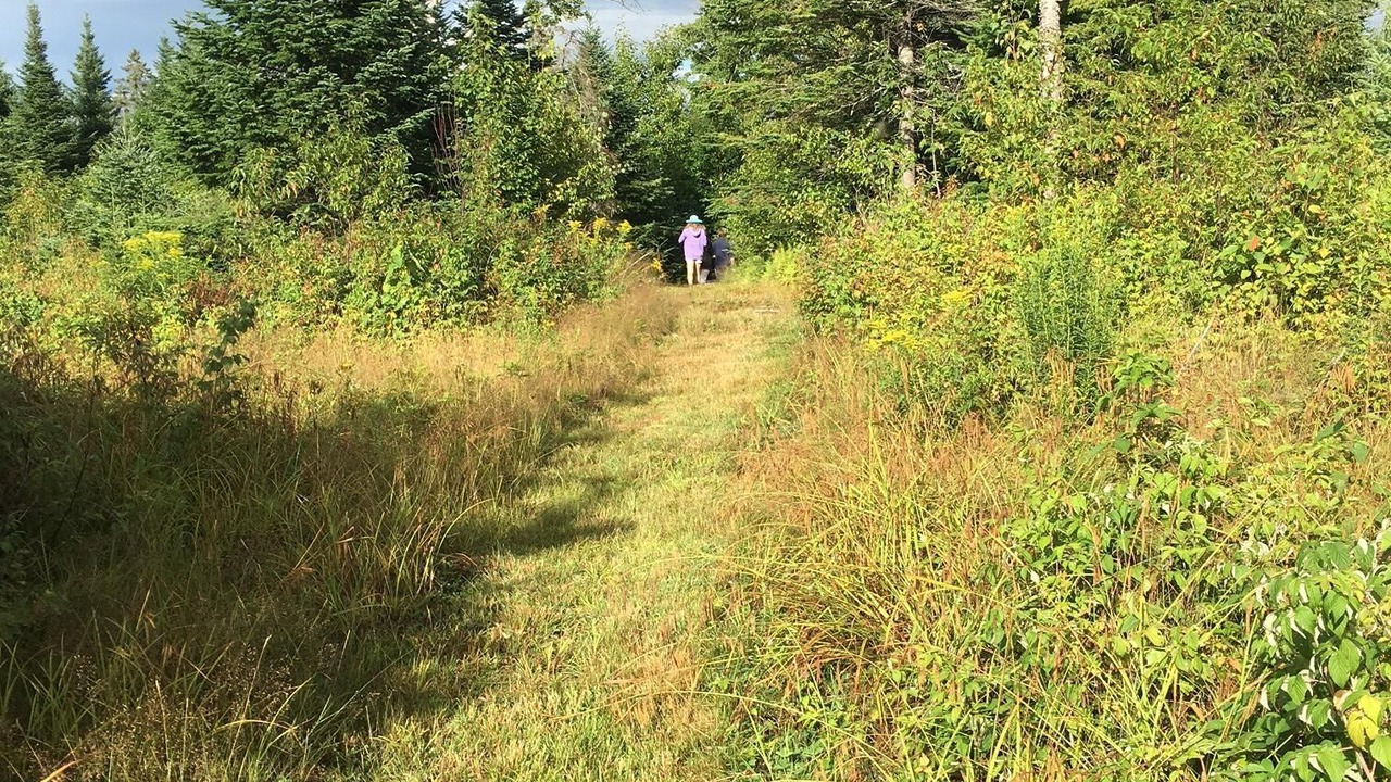 Photo of Others in West Burke