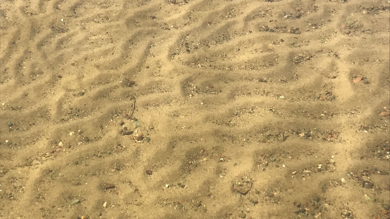 Photo of Outdoor in Manitowish Waters