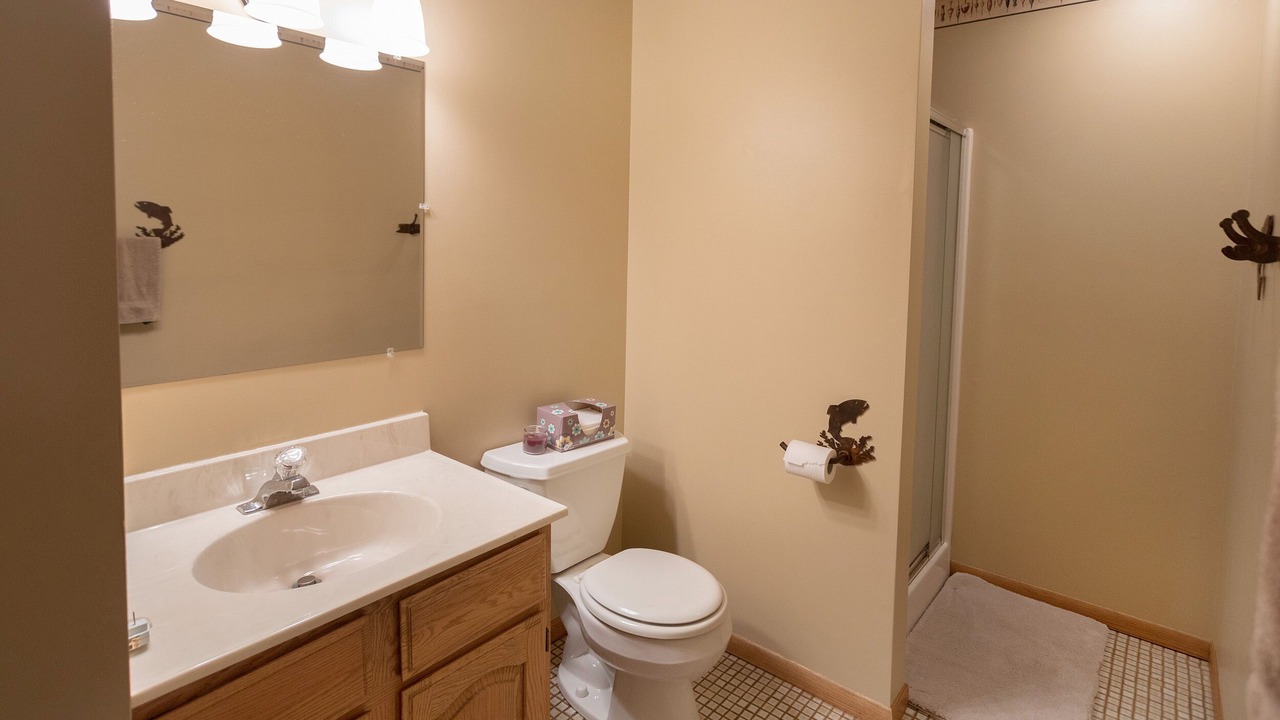 Photo of Bathroom in Pequot Lakes