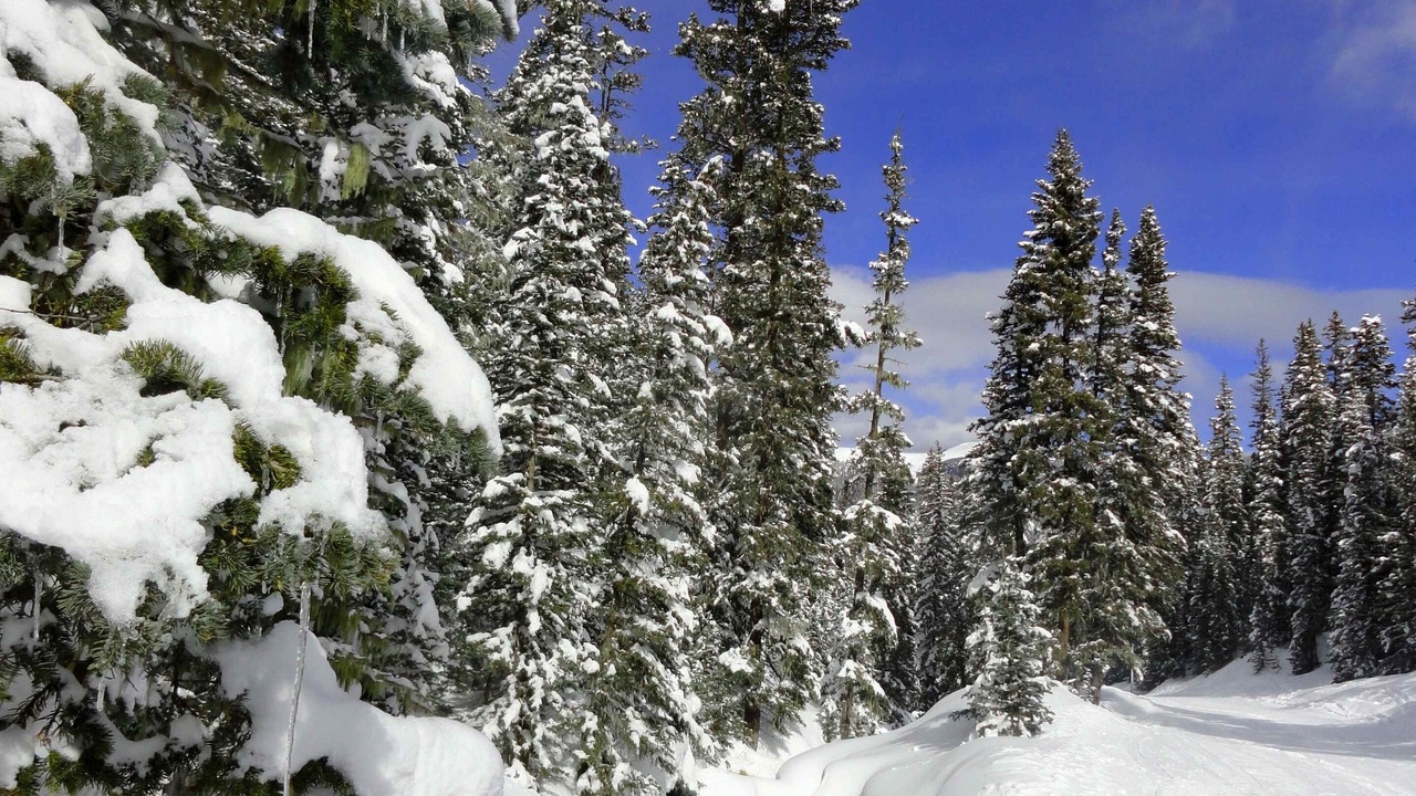 Photo of Outdoor in Arroyo Hondo