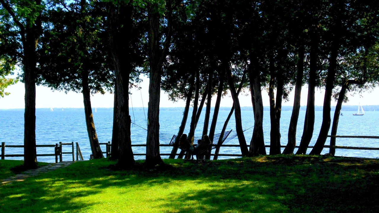 Photo of Others in Cumberland Head