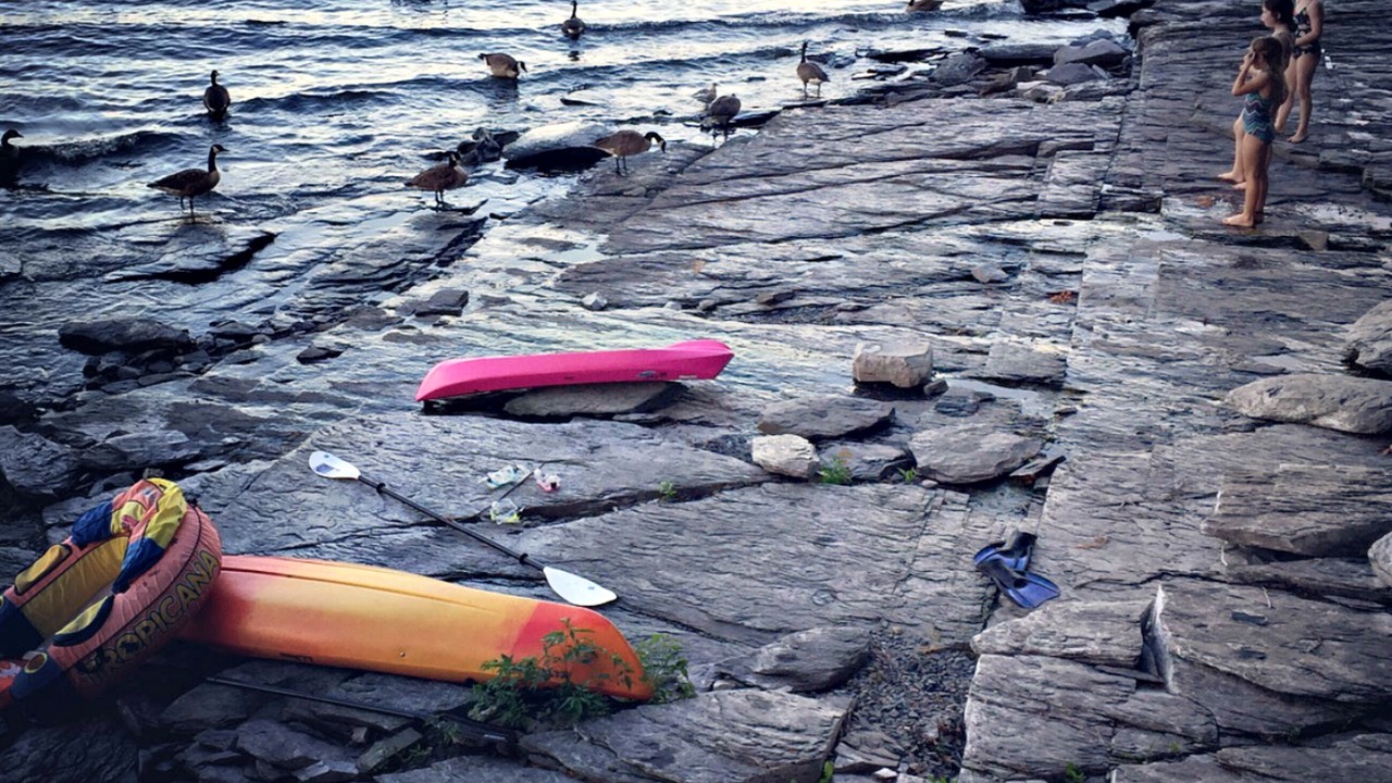 Photo of Others in Cumberland Head