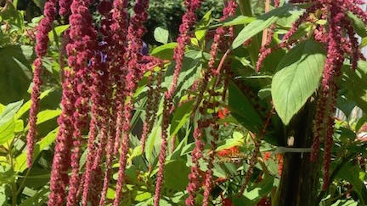 Photo of Outdoor in Benzonia