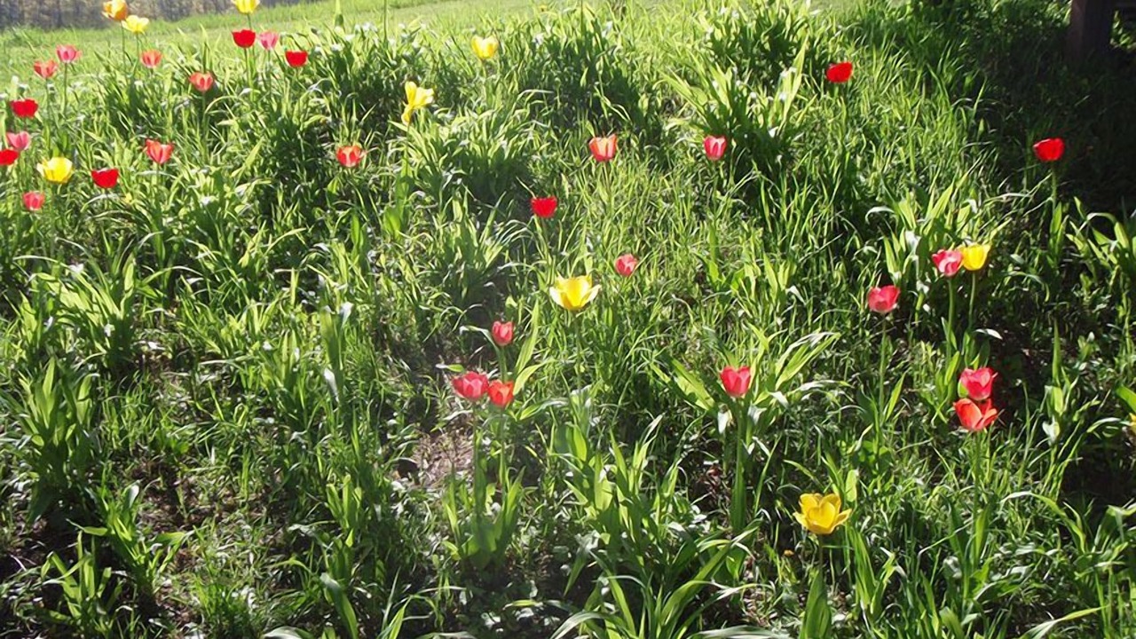 Photo of Others in Benzonia