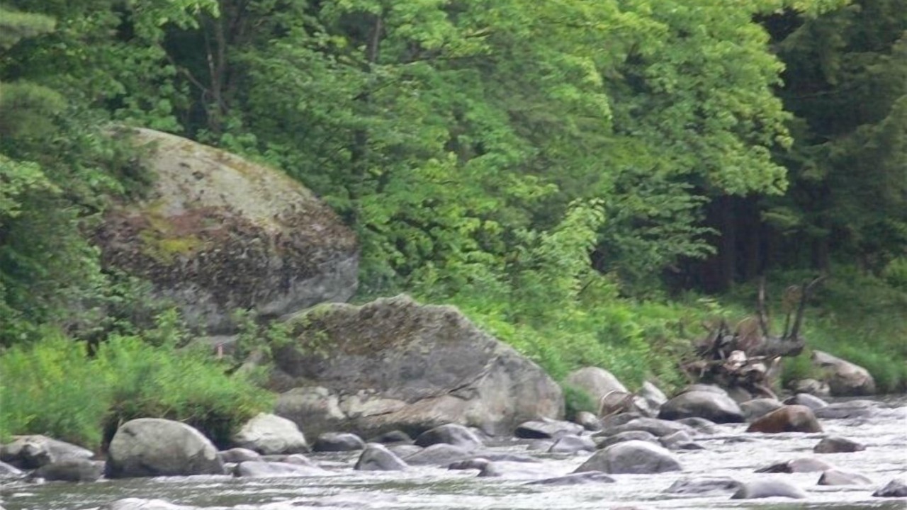 Photo of Others in Jay