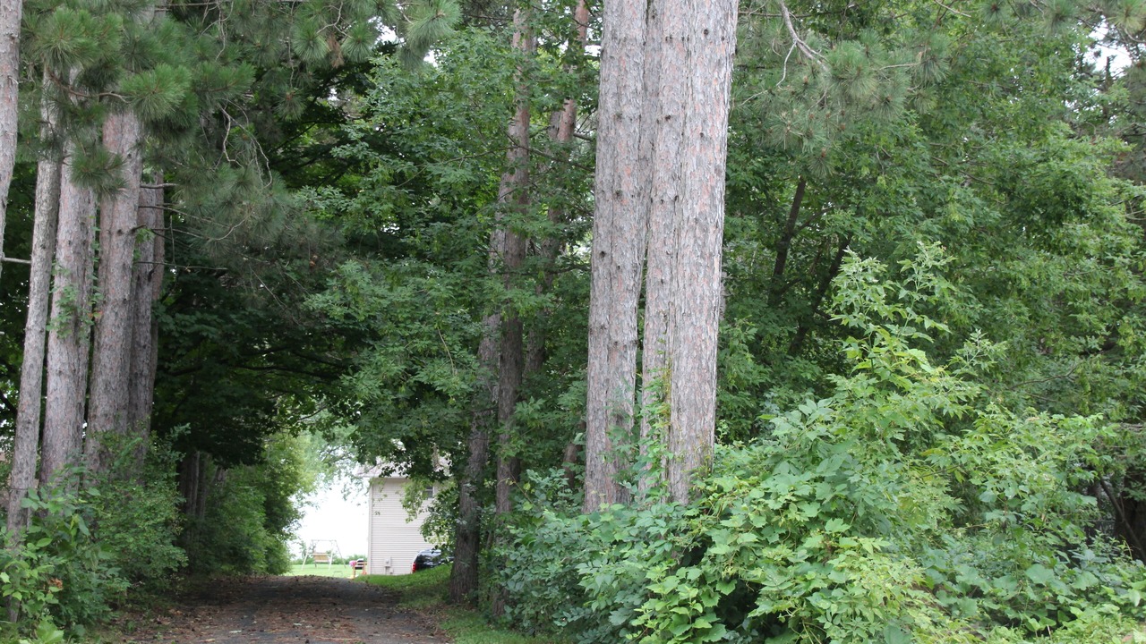 Photo of Others in Grandy