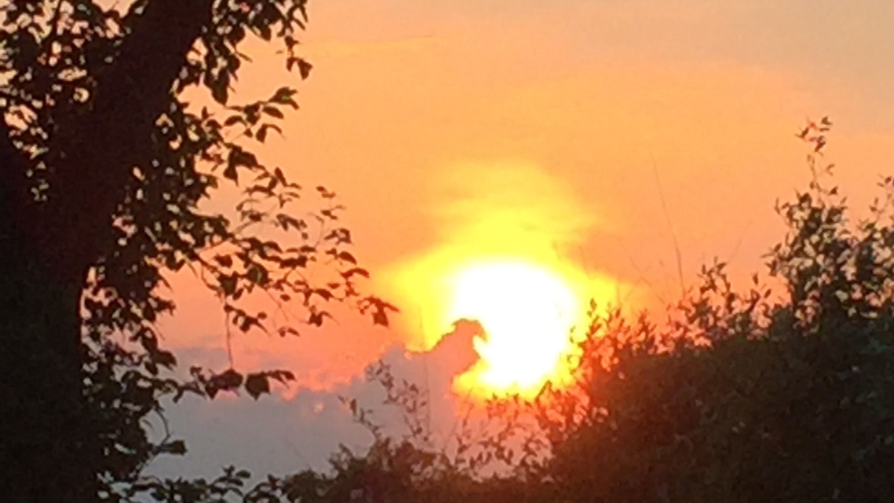 Photo of Outdoor in Fly Creek
