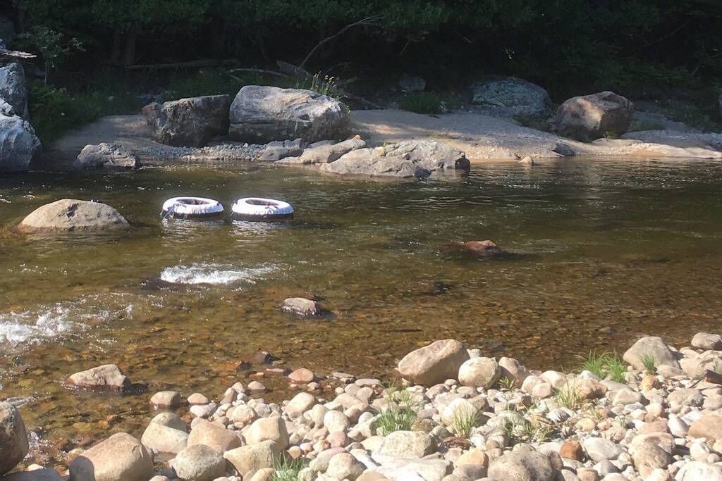 Photo of Others in Upper Jay