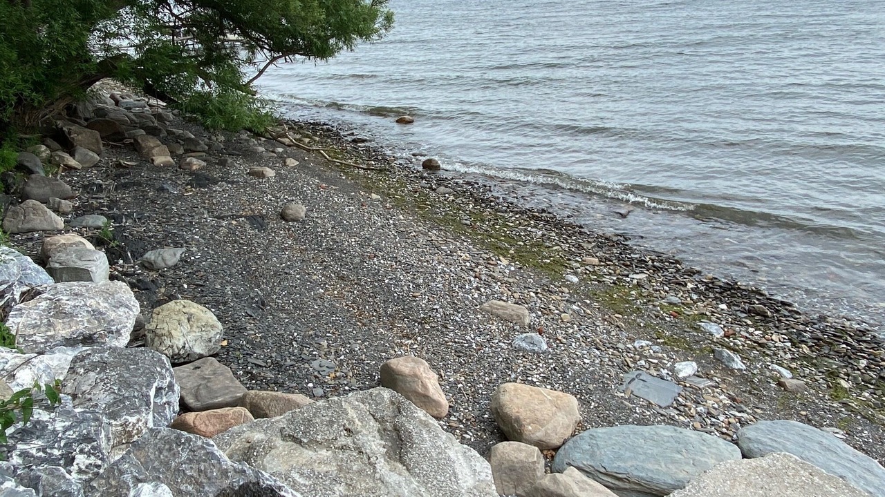 Photo of Others in Swanton