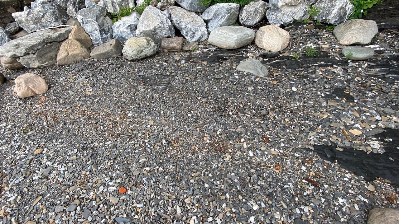Photo of Others in Swanton