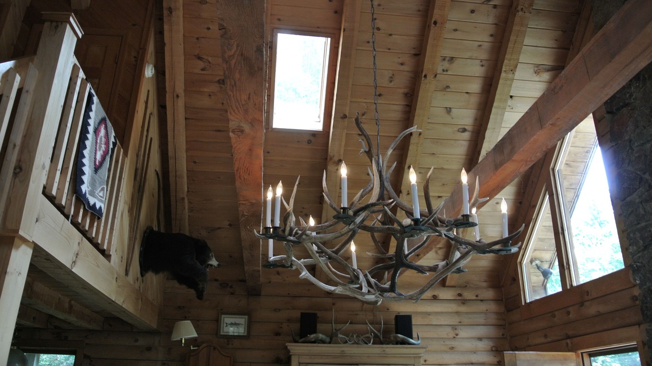 Photo of Bedroom in Belmont