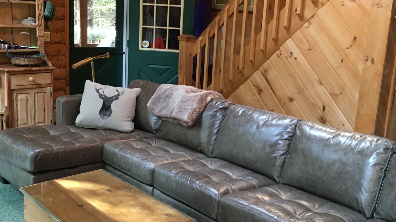 Photo of Livingroom in Belmont