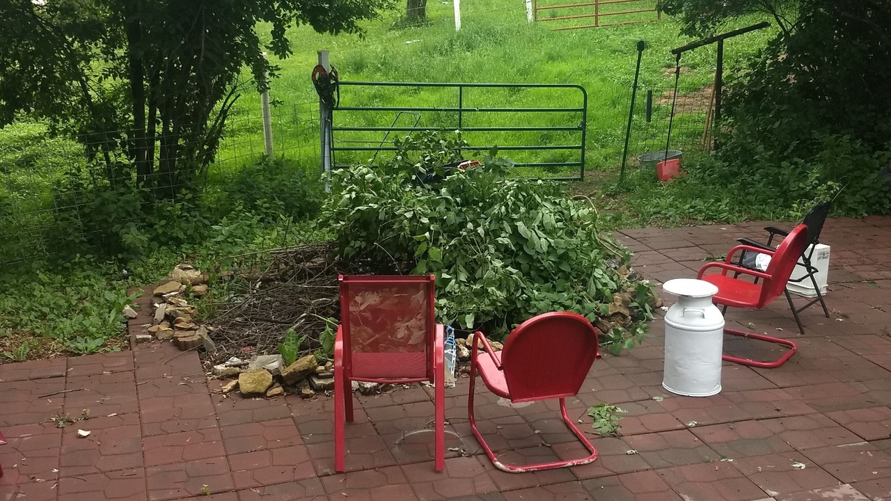 Photo of Outdoor in Pine Island
