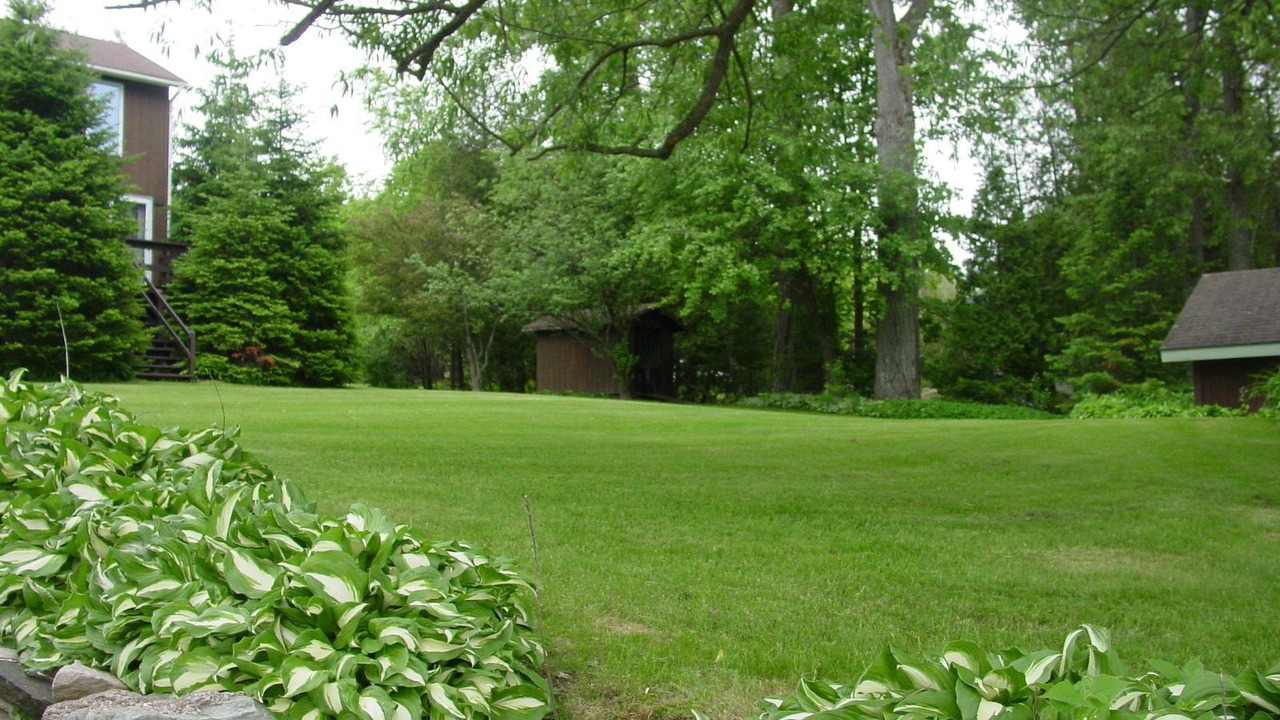 Photo of Outdoor in Town of Bellmont