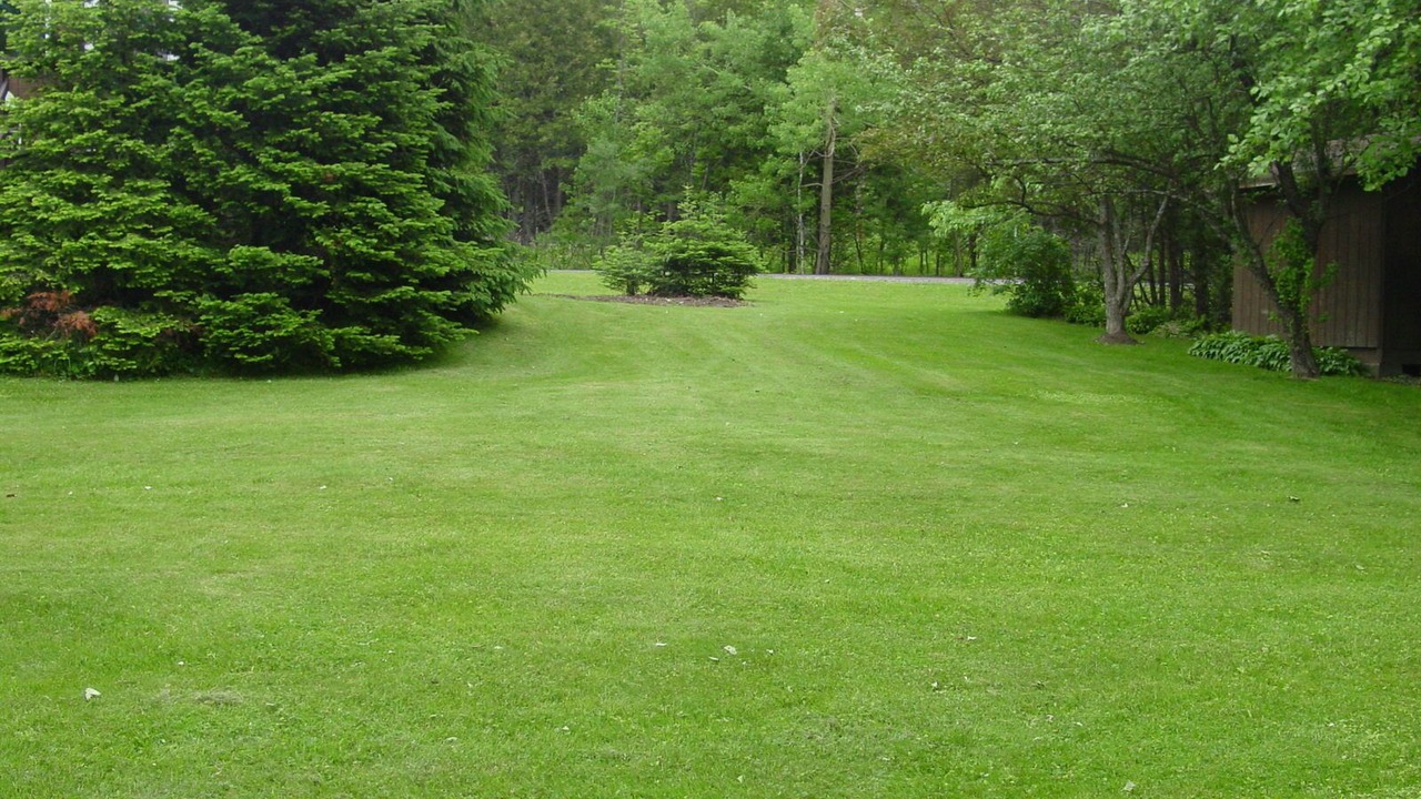 Photo of Outdoor in Town of Bellmont