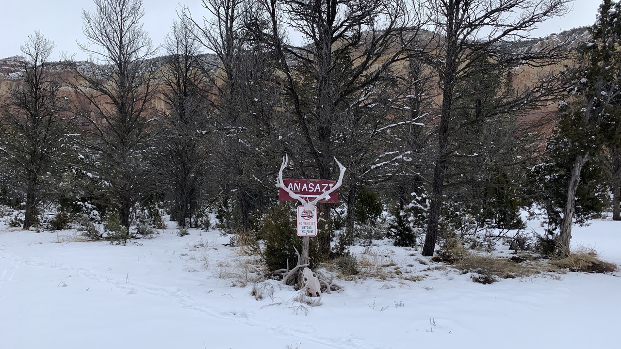Photo of Outdoor in Gallina