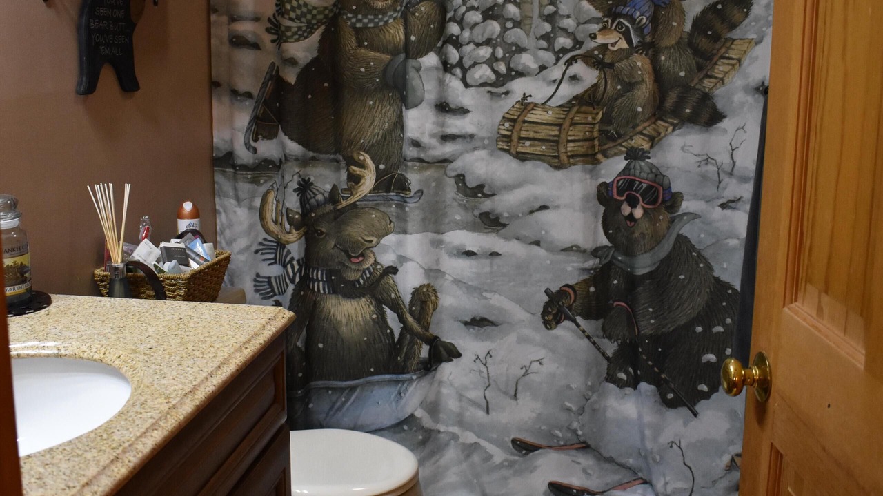 Photo of Bathroom in Center Conway