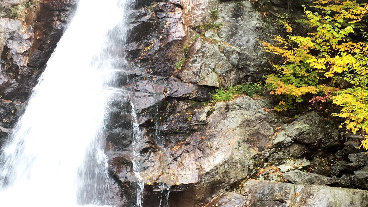 Photo of Outdoor in Center Conway