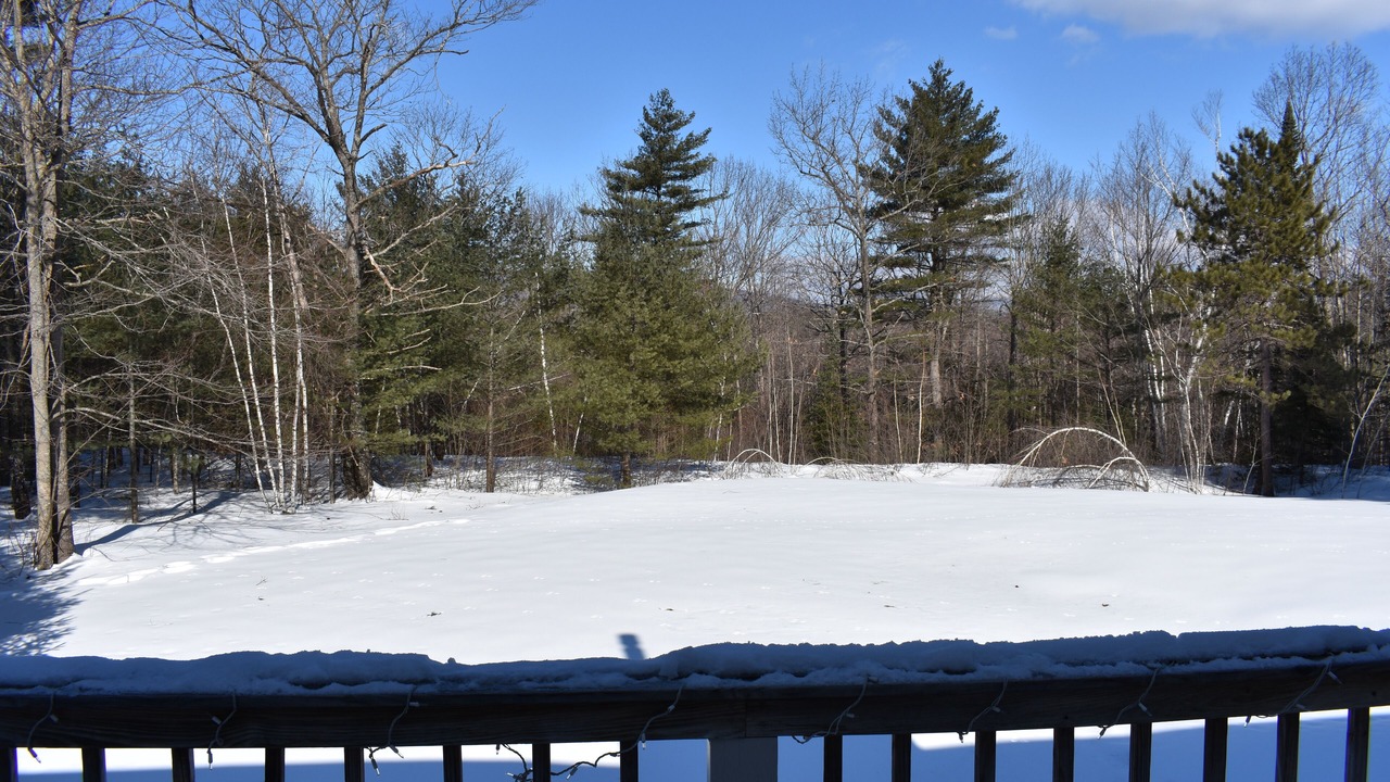 Photo of Outdoor in Center Conway