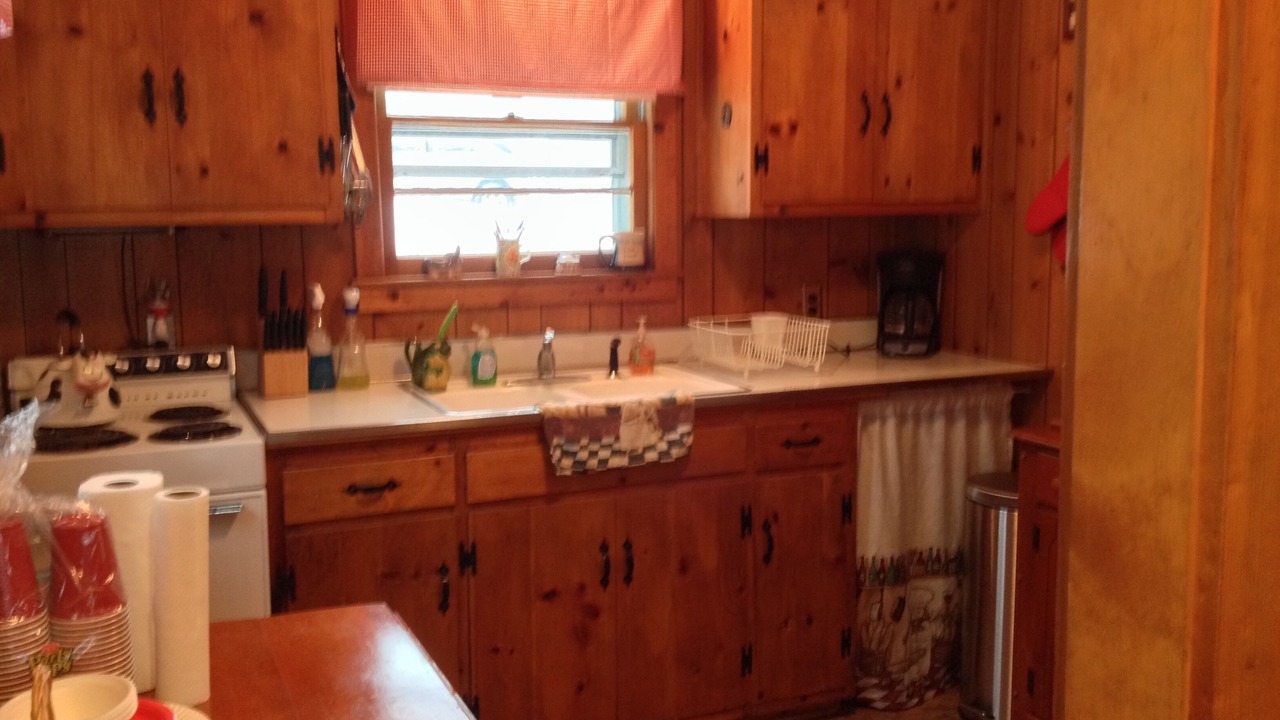 Photo of Kitchen in Woodford