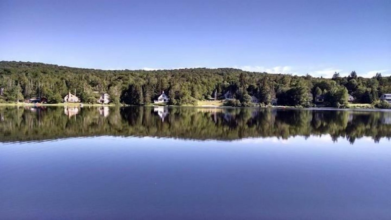 Photo of Outdoor in Woodford