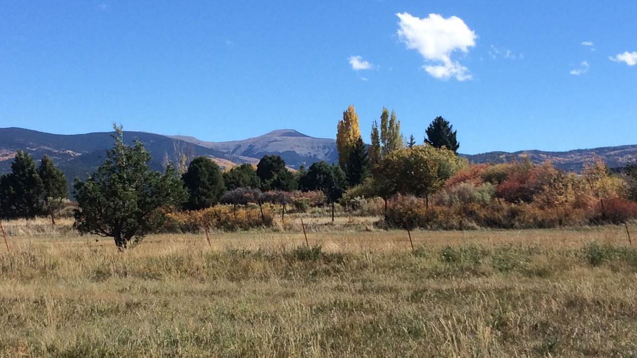 Photo of Outdoor in Llano