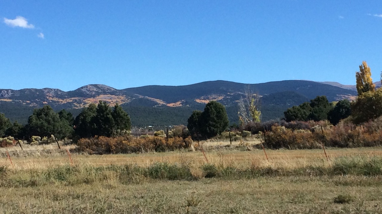 Photo of Outdoor in Llano