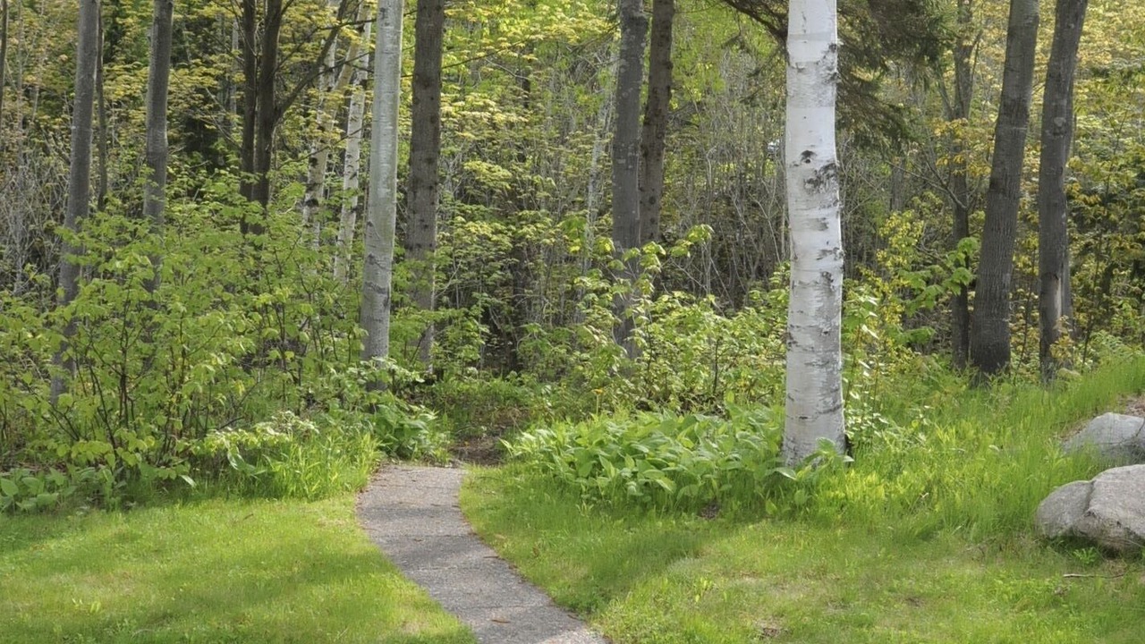 Photo of Outdoor in La Pointe