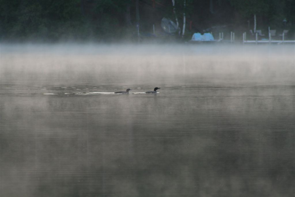 Photo of Outdoor in Crosslake