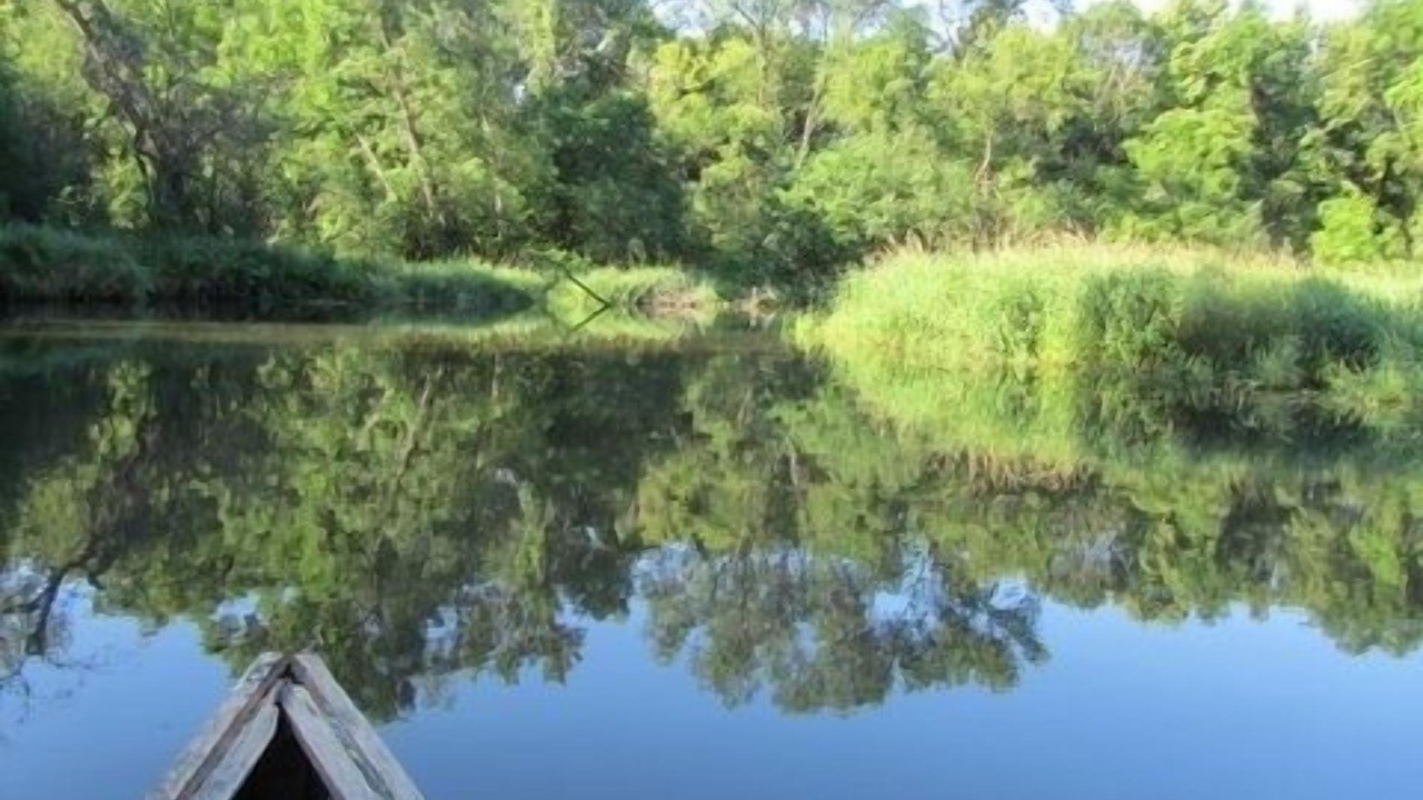 Photo of Others in Cannon Falls