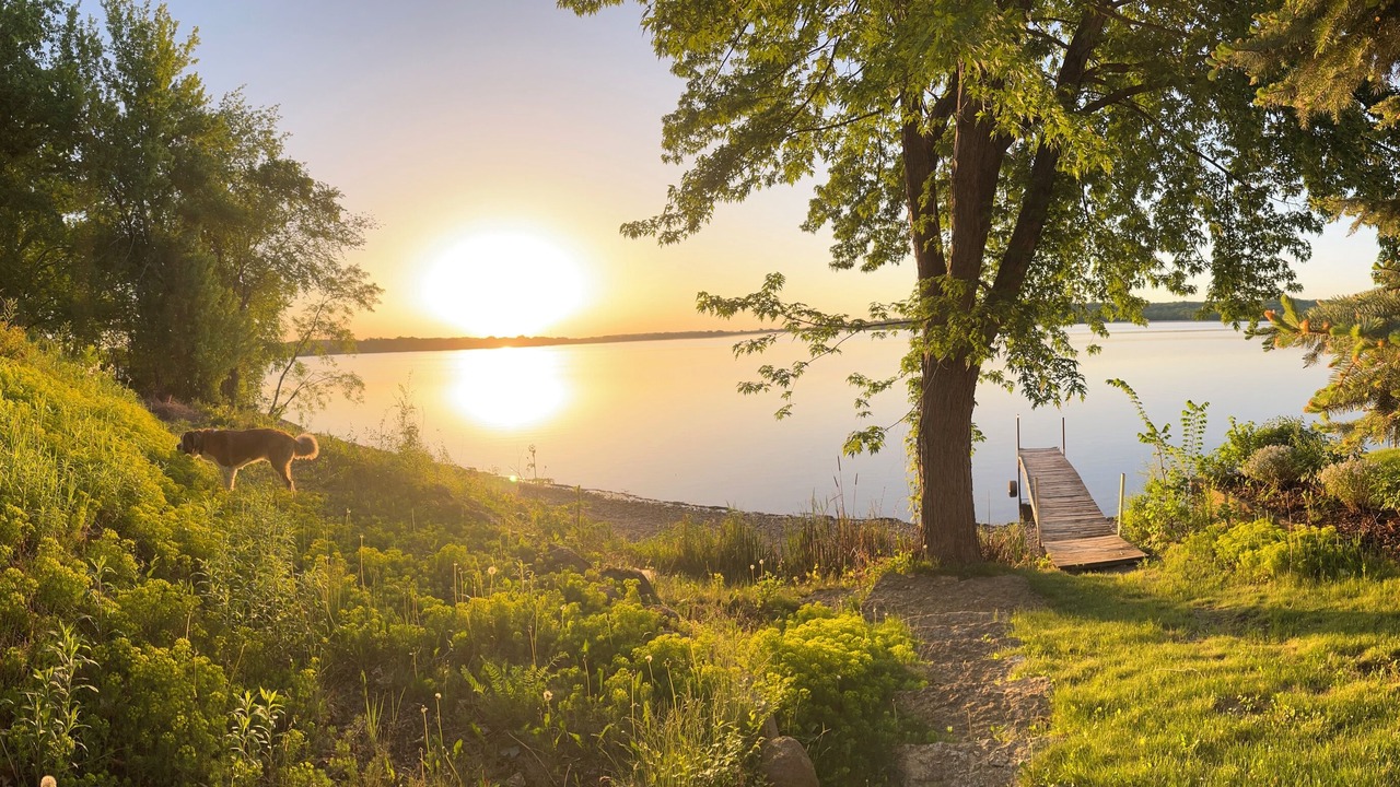 Photo of Outdoor in Cannon Falls