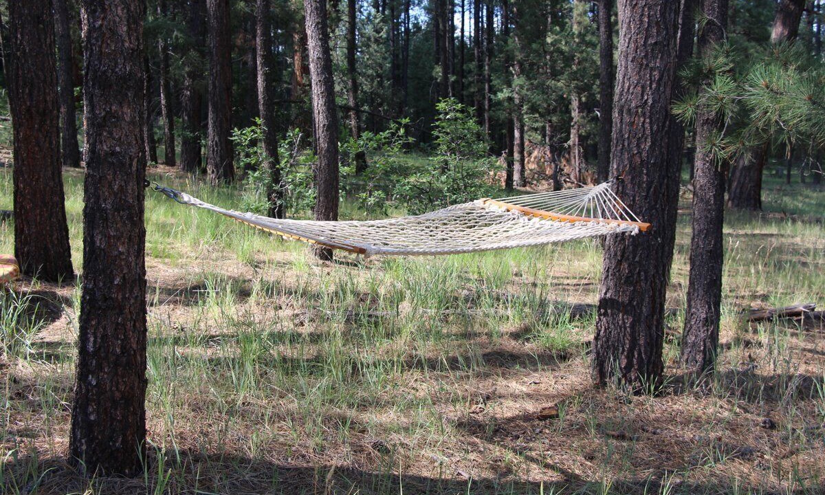 Photo of Others in Jemez Springs