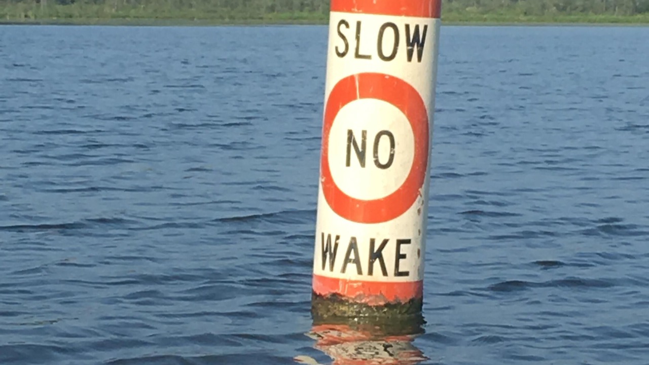 Photo of Others in Lake Ripley