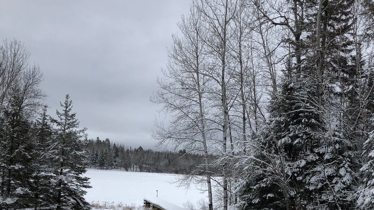 Photo of Outdoor in Crane Lake