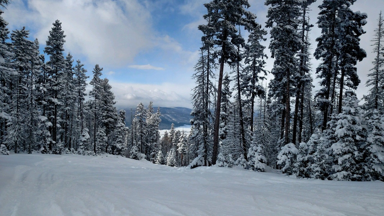 Photo of Others in Angel Fire