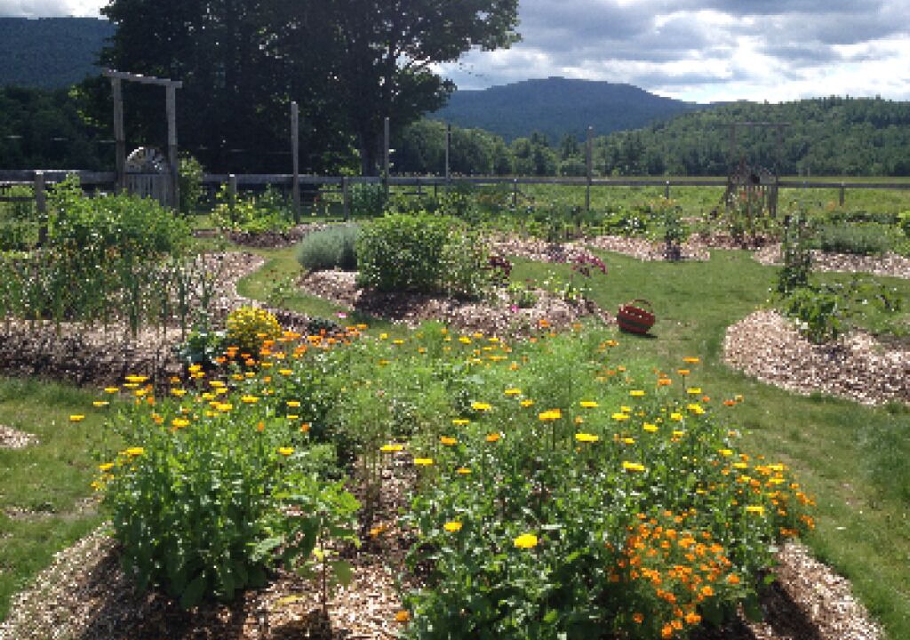 Photo of Outdoor in Keene