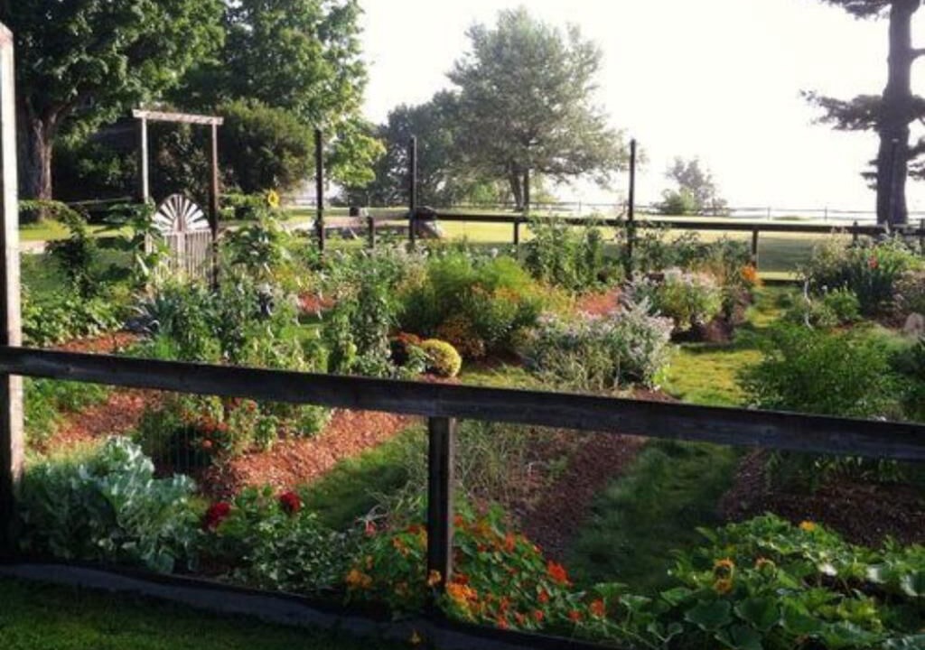 Photo of Outdoor in Keene