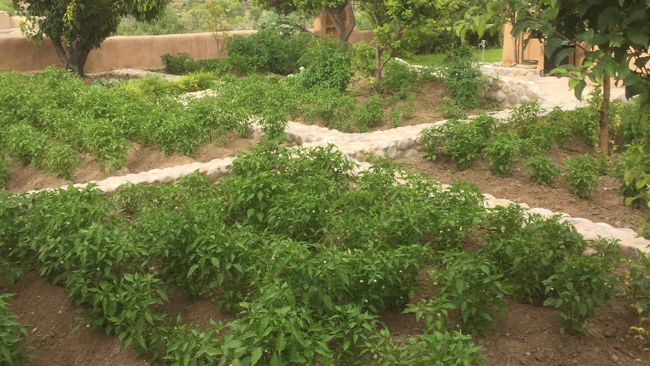 Photo of Outdoor in Abiquiu