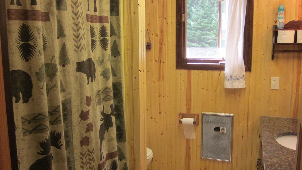 Photo of Bathroom in Eagle River