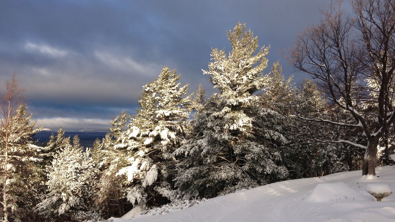 Photo of Others in Au Sable Forks