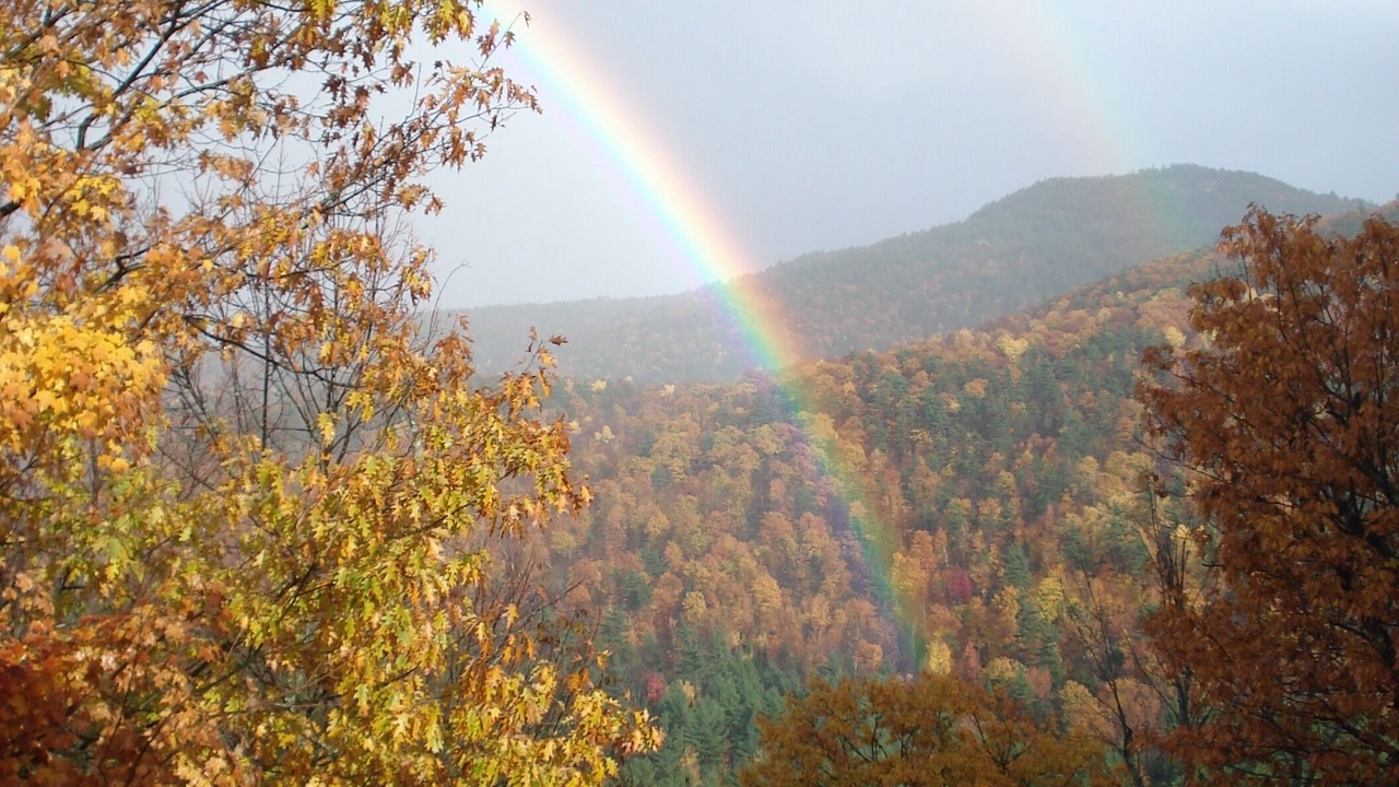 Photo of Others in Au Sable Forks