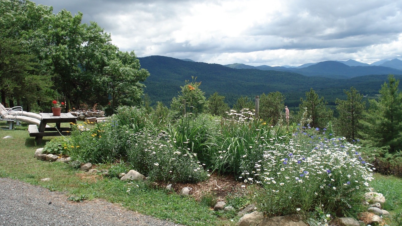 Photo of Others in Au Sable Forks