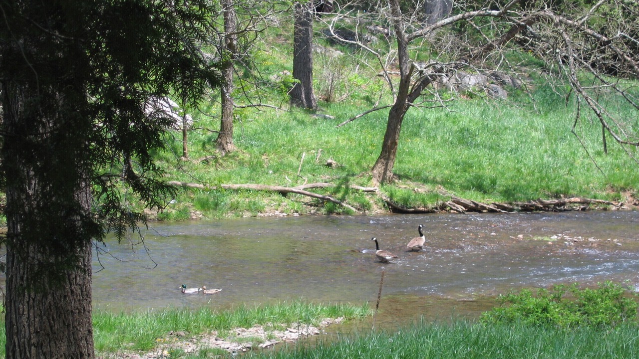 Photo of Others in Wytheville