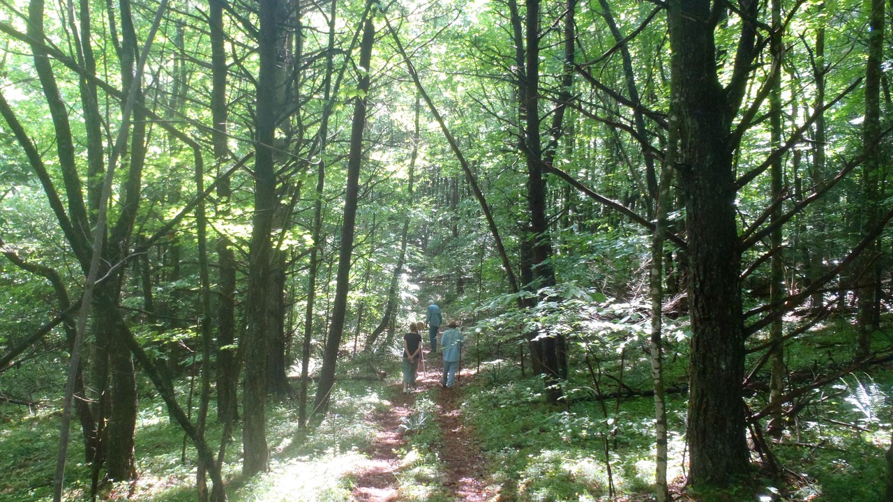 Photo of Others in Wytheville