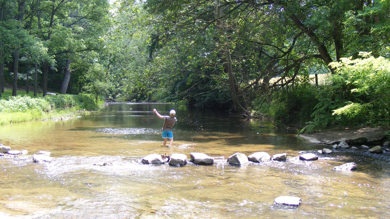 Photo of Others in Wytheville