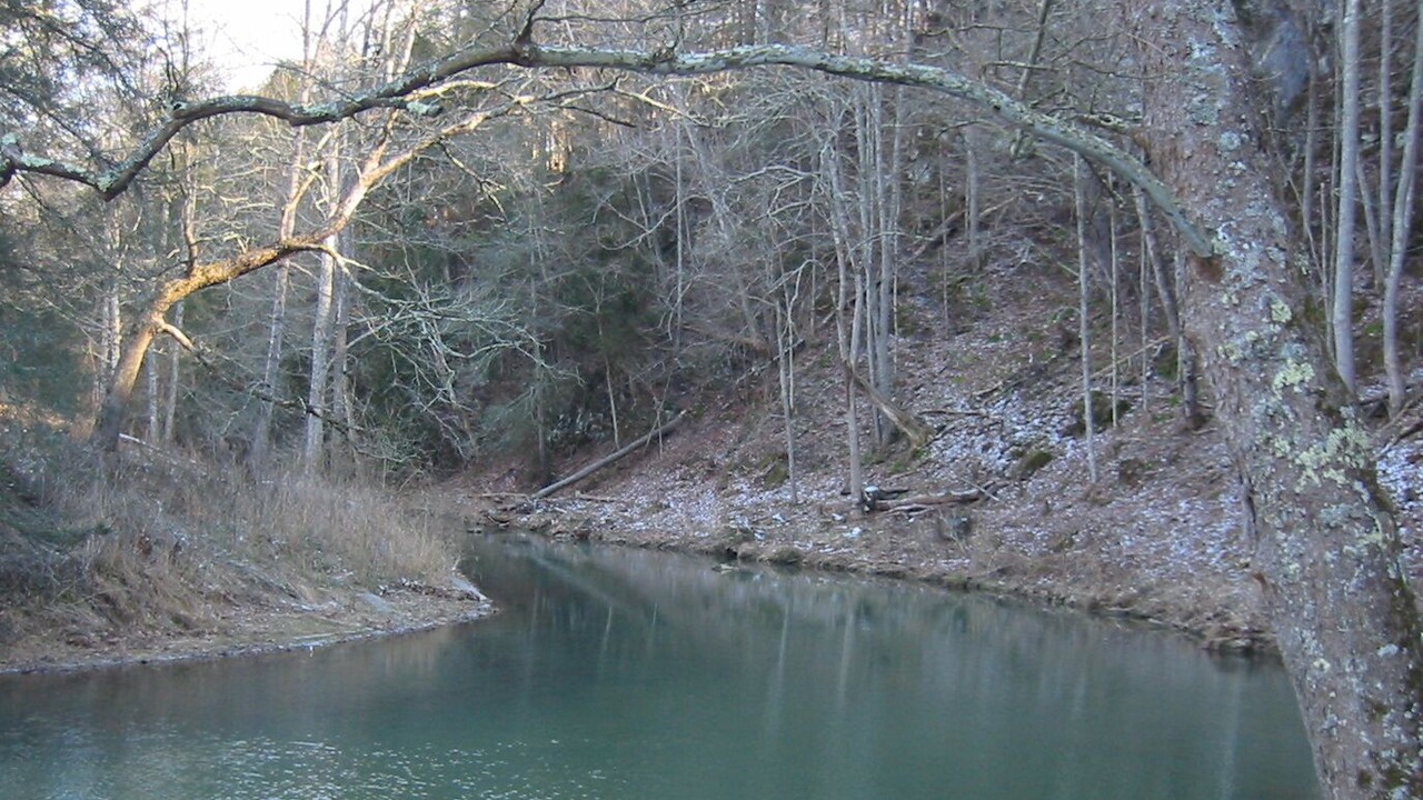 Photo of Others in Wytheville