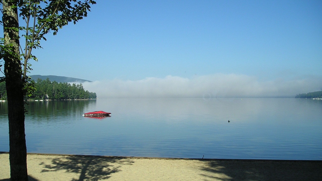 Photo of Others in Bridgewater