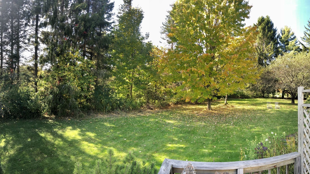 Photo of Outdoor in Stowe Area